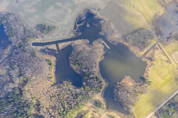 Вид Сверху Озеро Между Лесом Полями — стоковое фото