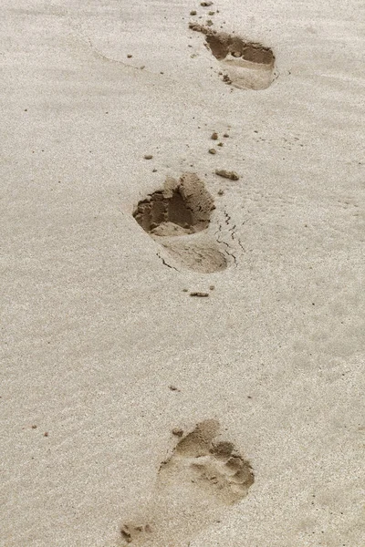 Footprints Pacific Beach — Stock Photo, Image
