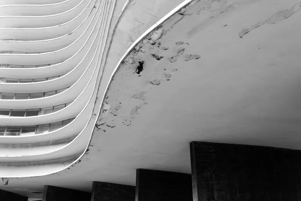 Niemeyer Apartman Épület Belo Horizonte — Stock Fotó