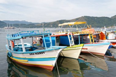 Paraty, Rio de Janeiro Eyaleti, 2014. Yat limanında tur tekneleri.