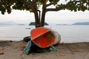 Ağacın altında, kumda dinlenen kırmızı popolu bir tekne.
