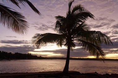 Brezilya 'nın tropikal sahillerinde romantik gün batımı