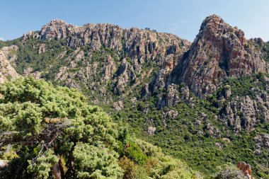 Calanques di Piana Corsica (2011). Korsika 'nın batı kıyısında aşınmış kayaların olağanüstü oluşumları.