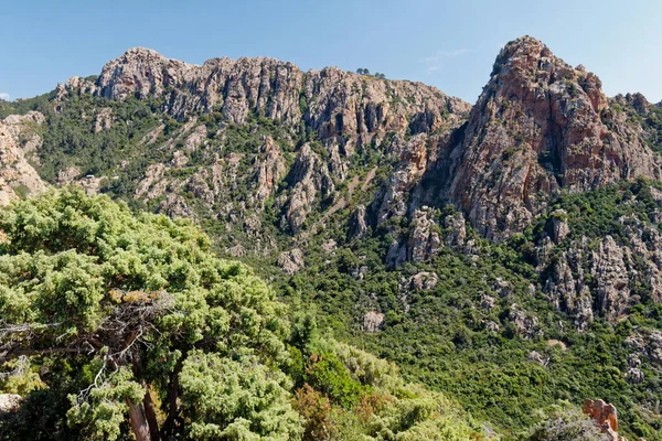 Calanques Piana Corsica 2011 Fantásticas Formações Rochas Intempéries Costa Ocidental — Fotografia de Stock