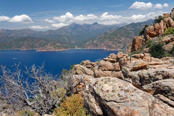 Calanques Piana Corsica 2011 Φανταστικοί Σχηματισμοί Πετρωμάτων Στις Δυτικές Ακτές — Φωτογραφία Αρχείου