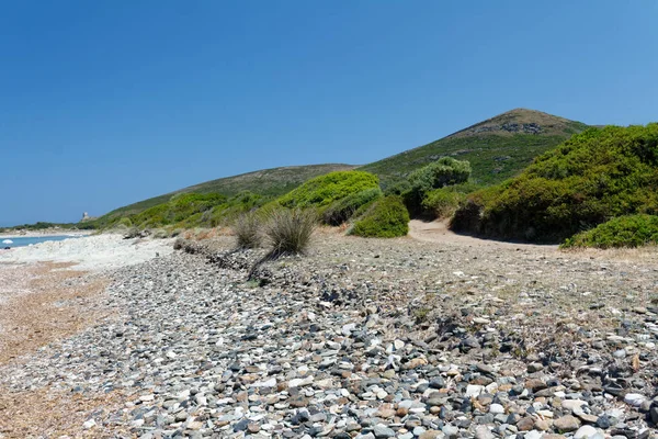 Sentier Des Douaniers Dans Nord Corse 2011 — Photo