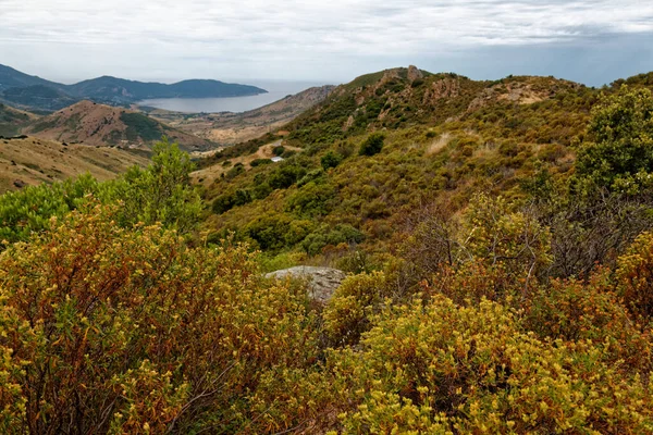 Diverse Coste Della Corsica Con Rocce Drammatiche Acque Blu Intenso — Foto Stock