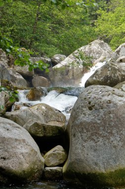 Corte yakınlarındaki dağlarda Restonica Vadisi (2011)