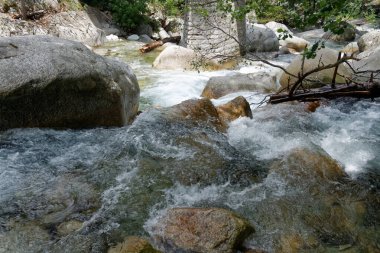 Corte yakınlarındaki dağlarda Restonica Vadisi (2011)