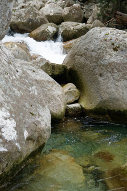 Corte yakınlarındaki Restonica Vadisi, mevsim için büyük bir dağ yürüyüşü.. 