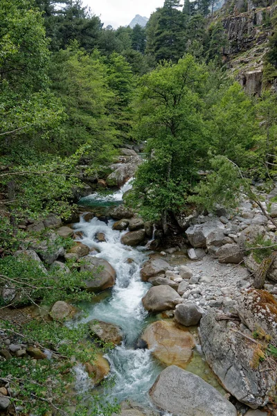 Φαράγγι Restonica Κοντά Στο Corte Μια Μεγάλη Ορειβασία Κατά Διάρκεια — Φωτογραφία Αρχείου