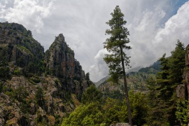 Corte yakınlarındaki Restonica Vadisi, mevsim için büyük bir dağ yürüyüşü.. 