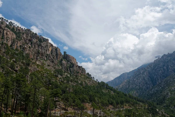 Restonica Gorge Perto Corte Uma Grande Caminhada Montanha Temporada — Fotografia de Stock