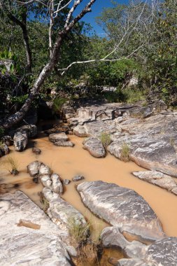 Chapada dos Veadeiros 2013. Brezilya 'nın Goias eyaletinde popüler bir ulusal park. Büyük doğa, şelaleler, nehirlerde yüzmek ve yürüyüş fırsatları., 