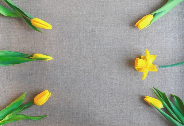 Çuval bezinde 6 lale var.