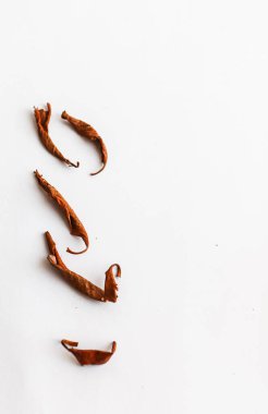 Beyaz arkaplanda beş kuru bbrown yaprağı