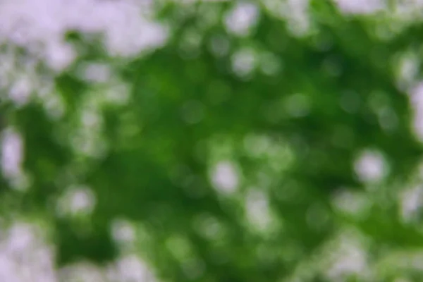 Odaklanmamış mavi ve beyaz arkaplan bokeh odaklanmamış