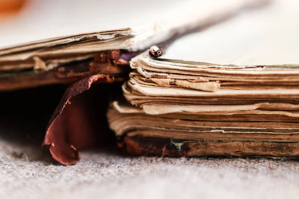 Çuval bezi üzerine eski bir kitap.