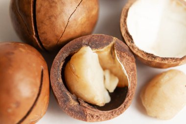 Kabuklu ve kabuksuz Macadamia fındıkları beyaz arka planda izole edilmiş.