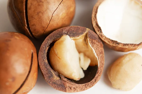 Kabuklu ve kabuksuz Macadamia fındıkları beyaz arka planda izole edilmiş.