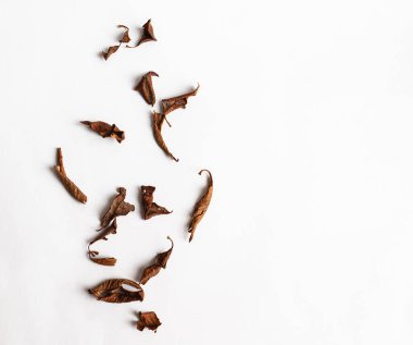 Beyaz arka planda kuru kahverengi yapraklar. Sonbahar yaprakları