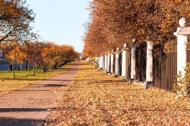 Autumn tree alley in campus of famous Russian university with lo