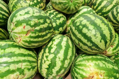 Pazar yerinde çizgili taze su kavunları
