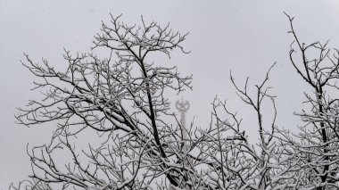 Ünlü Rus Üniversitesi 'nin kış sisi kampüsü 