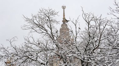Kazanan çıplak ağaç dalları olan ünlü Rus üniversitesi