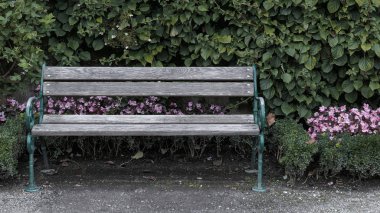Halka açık yaz parkında pembe çiçekli eski tarz ahşap bank