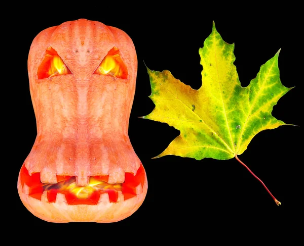 Хэллоуин желтый карликовый осенний лист и пылающий оранжевый — стоковое фото