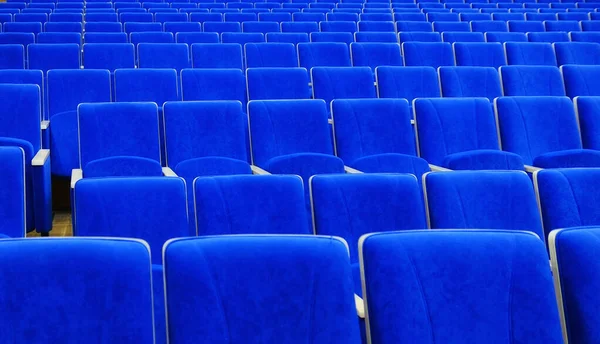 Řady modrých sametových sedadel ve velkém veřejném sále — Stock fotografie