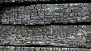 Yanmış ahşap evin siyah deseni