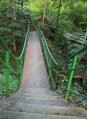 Ahşap merdivenlerle asılı orman köprüsü
