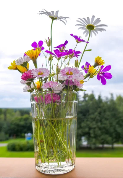 Vari fiori estivi selvatici in vetro sfaccettato — Foto Stock