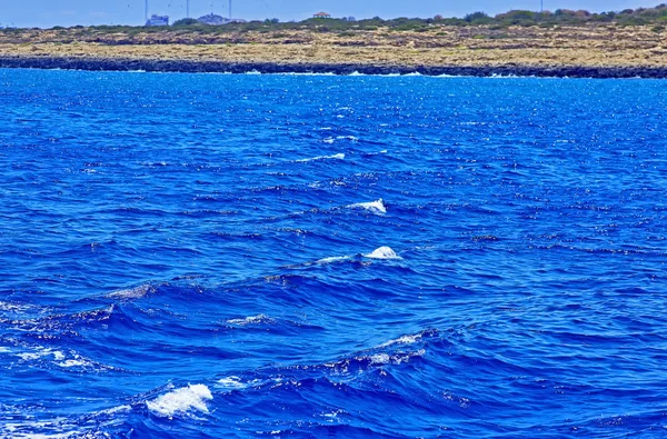 Kıbrıs Rum Kesimi Larnaka 'nın parlak sıcak dalgaları. — Stok fotoğraf