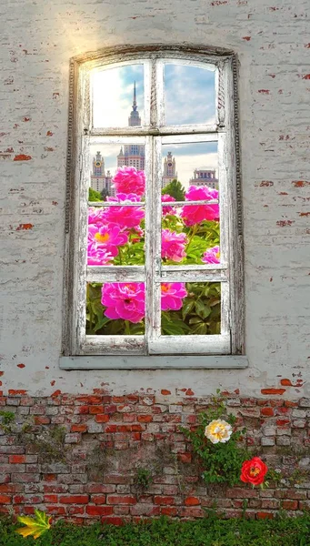 Terk edilmiş tuğla vadisinin ortasındaki eski pencereden güzel bir manzara. — Stok fotoğraf