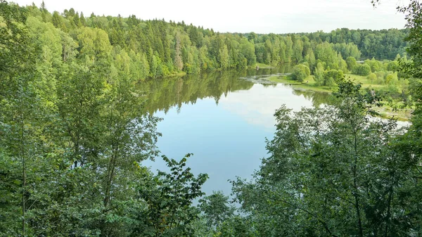 Las rzeka martwy w wieś Rosja pod letni niebo — Zdjęcie stockowe
