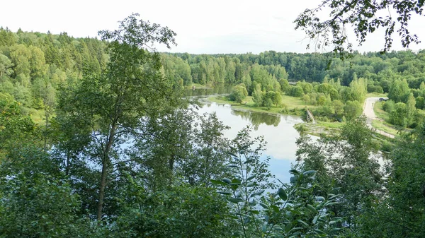 Waldfluss versinkt in russischer Landschaft unter Sommerhimmel — Stockfoto
