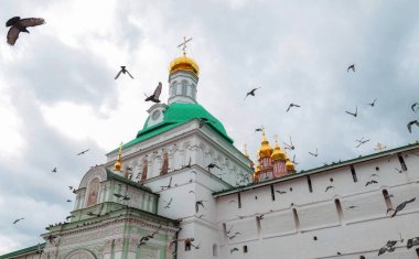 Güvercin sürüsü Rus Ortodoks Kilisesi 'ne doğru ilerliyor. 