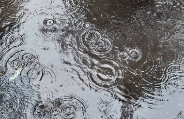 Havuz yüzeyinde çoklu damlacık halkaları olan sağanak yağmur