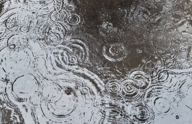 Havuz yüzeyinde çoklu damlacık halkaları olan sağanak yağmur