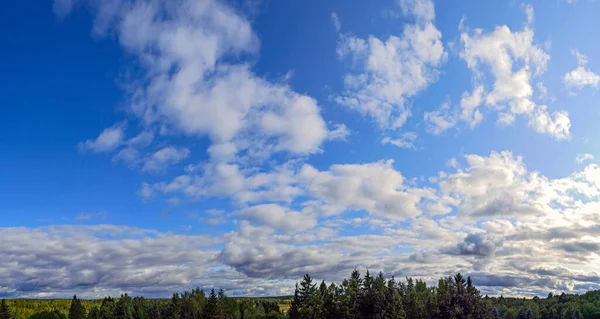 Panoramic view of dramatic clouds over evergreen trees — Stock Photo, Image