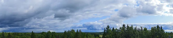 Панорамний вид на драматичні хмари на вічнозелених деревах — стокове фото