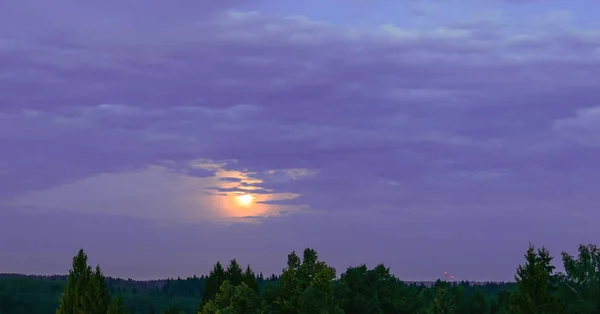 Maan licht landschap met dramatische bewolkte hemel boven bos in totaal — Stockfoto