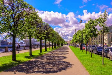 Neva nehri kıyısındaki Saint Petersburg güneşli ağaç sokağının canlı manzarası