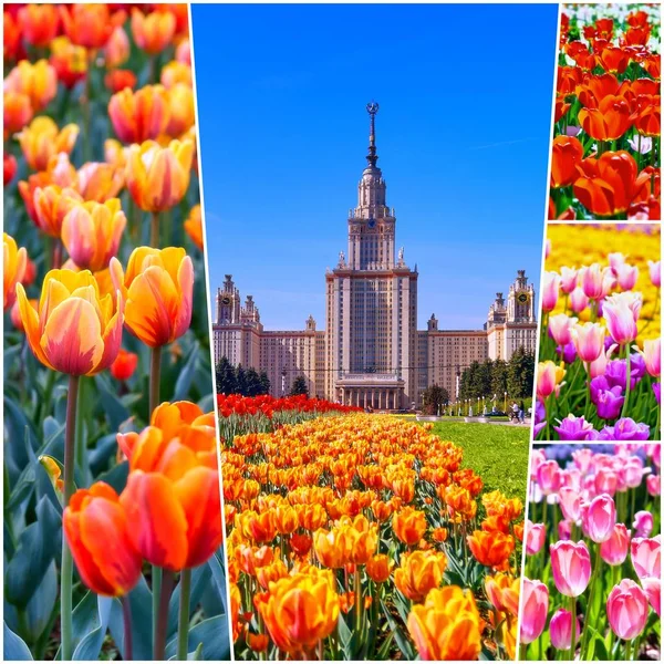 Collage Lebendiger Ansichten Des Blühenden Campus Der Berühmten Russischen Universität — Stockfoto