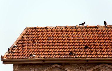 Dağ yamaçları ve güneşli Kıbrıs 'ın kırmızı çatı köyü 