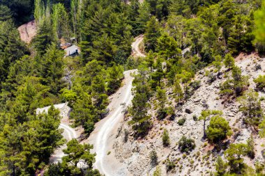 Kıbrıs Rum Kesimi 'nin Troodos bölgesinde ağaçlı, teraslı ve yollu yamaçlar 