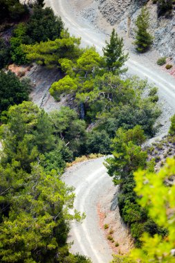 Kıbrıs Rum Kesimi 'nin Troodos bölgesinde ağaçlı, teraslı ve yollu yamaçlar 